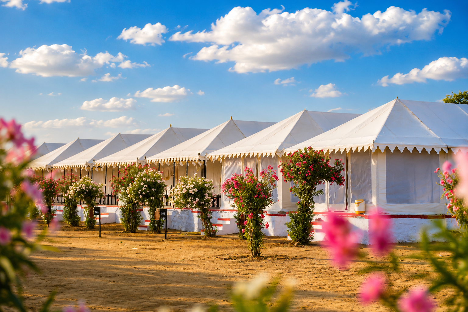 Desert Camp